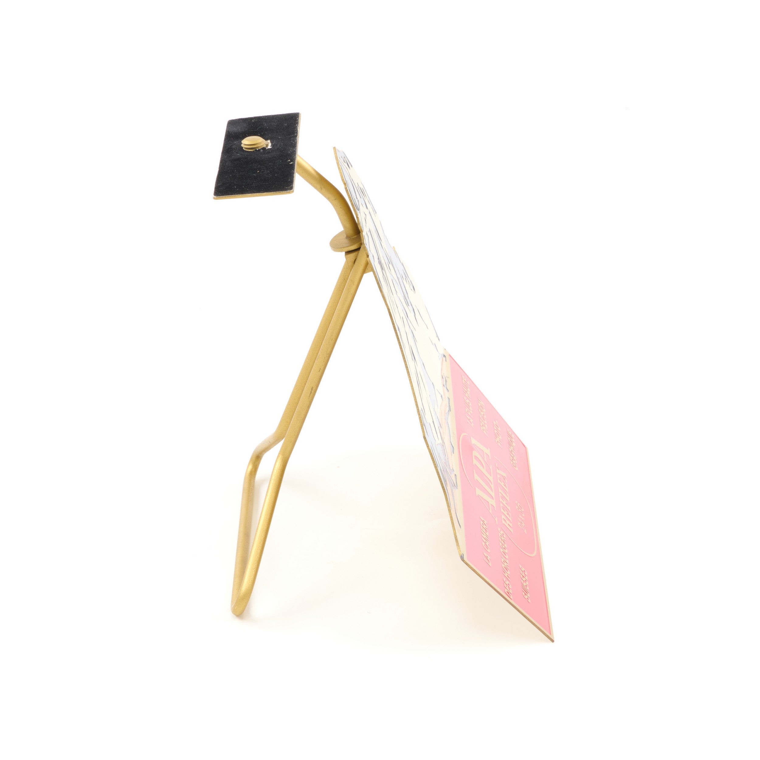 Alpa Reflex Camera Displaystandaard